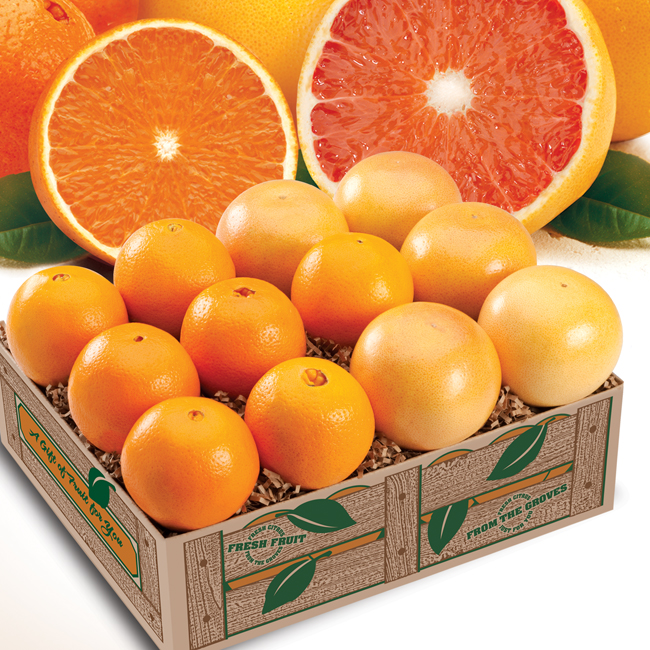 Navel Oranges and Grapefruit - One Tray
